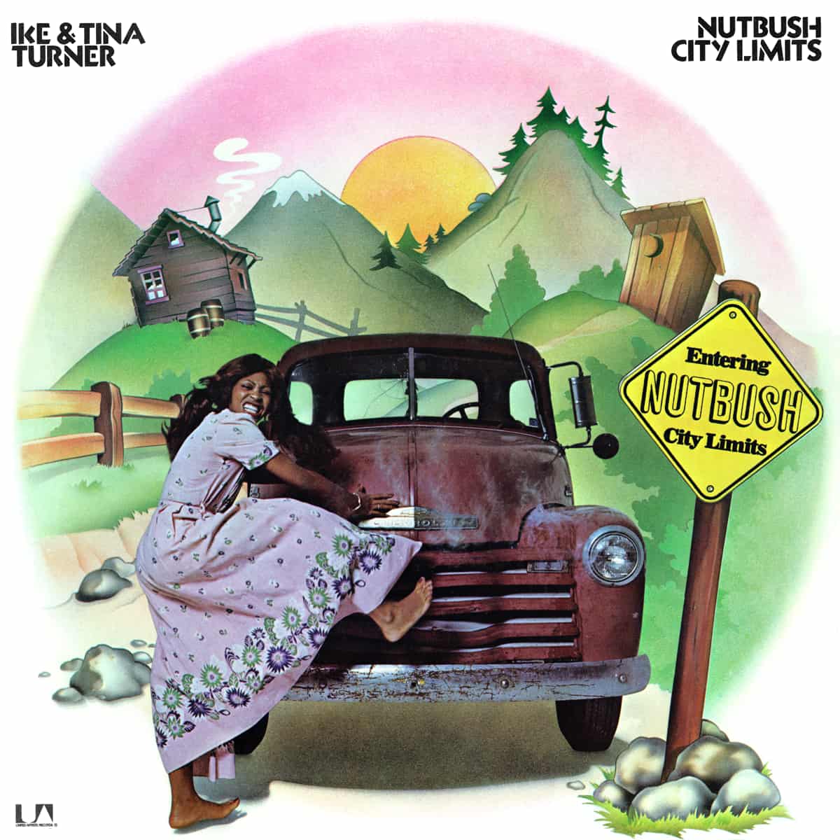 Ike & Tina Turner - Nutbush City Limits - Album