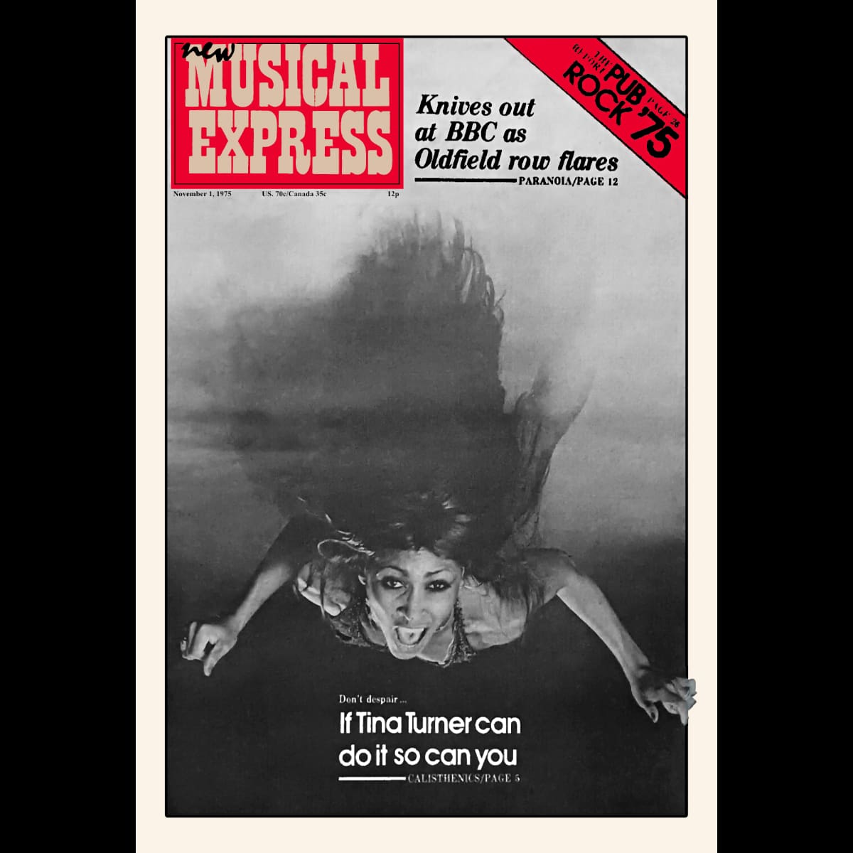 Ike & Tina Turner - New Musical Express - Magazine