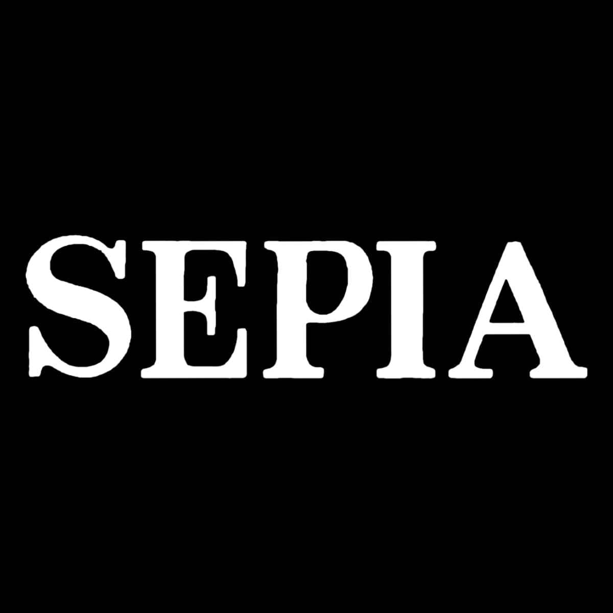 Ike & Tina Turner - Sepia - Magazine