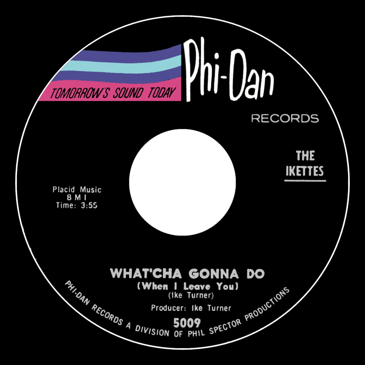 The Ikettes - What'cha Gonna Do - Single