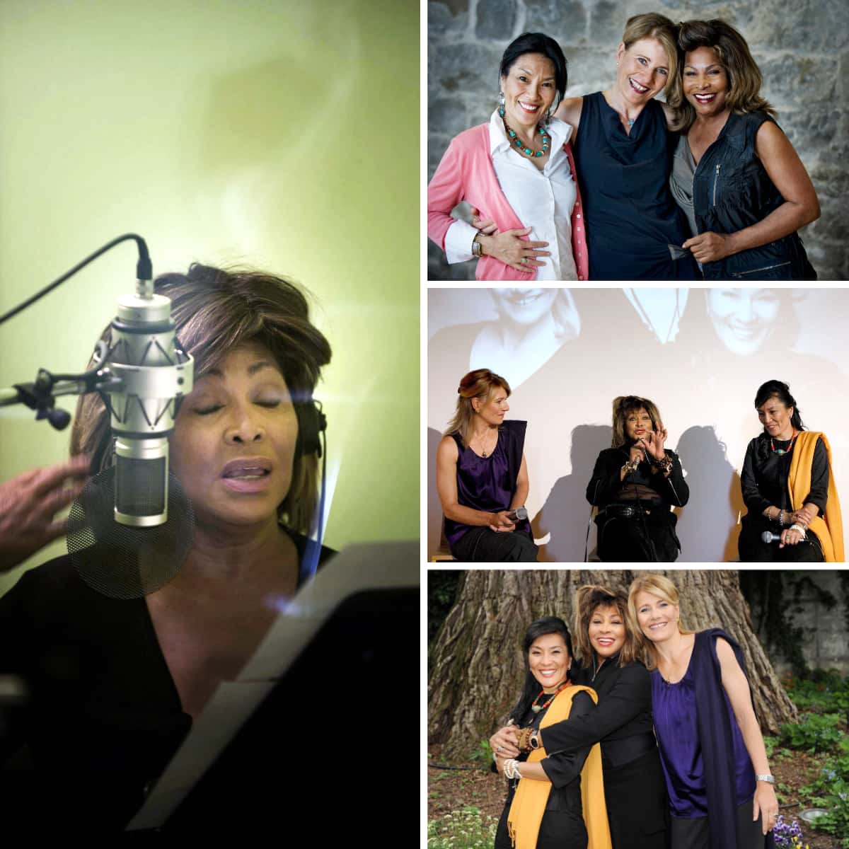 Tina Turner & Beyond - Promo