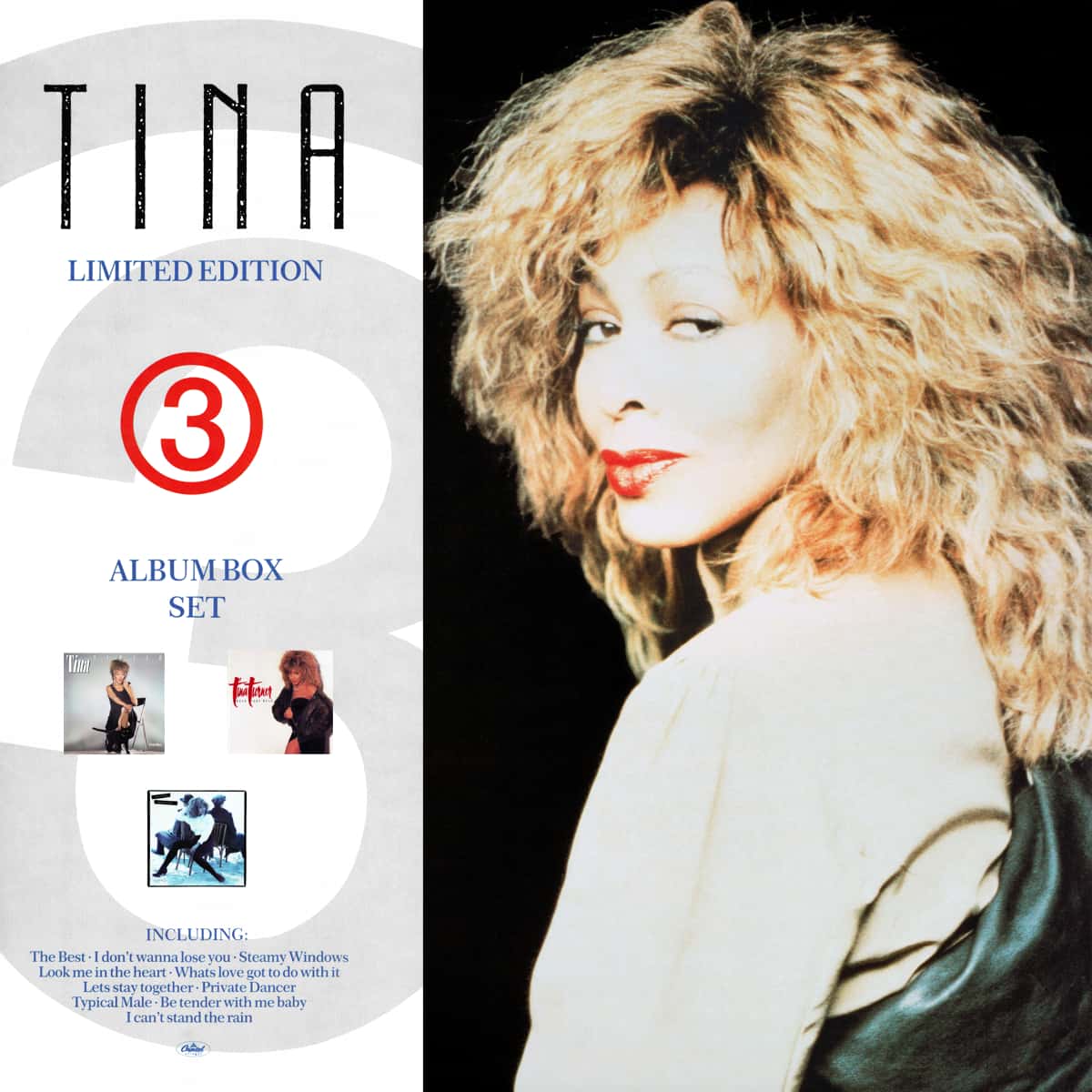 Tina Turner - Album Box Set