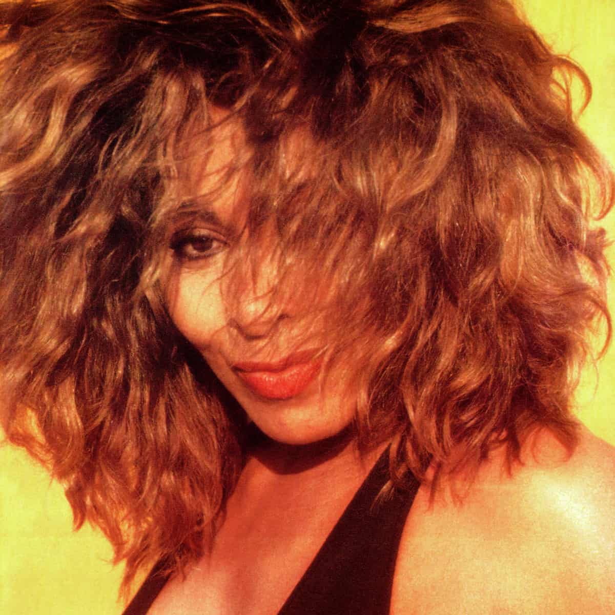 Tina Turner - Album Box Set