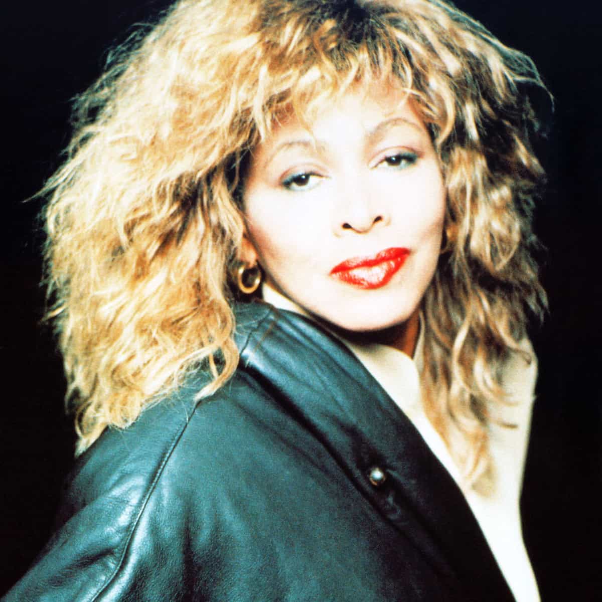 Tina Turner - Album Box Set