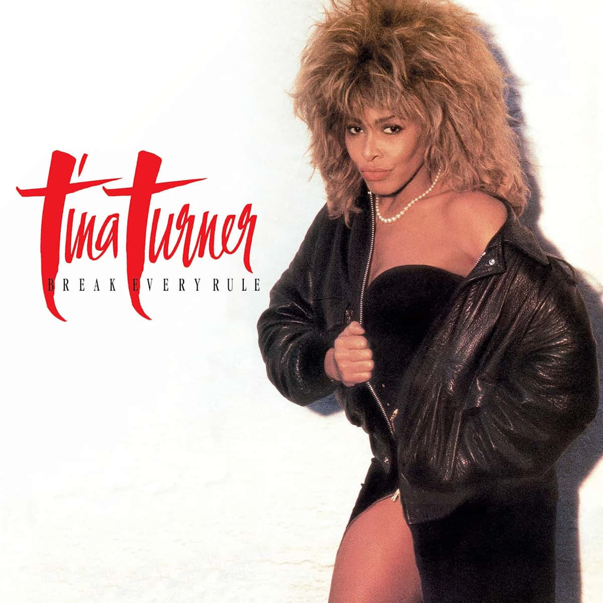 Tina Turner - Break Every Rule - Album