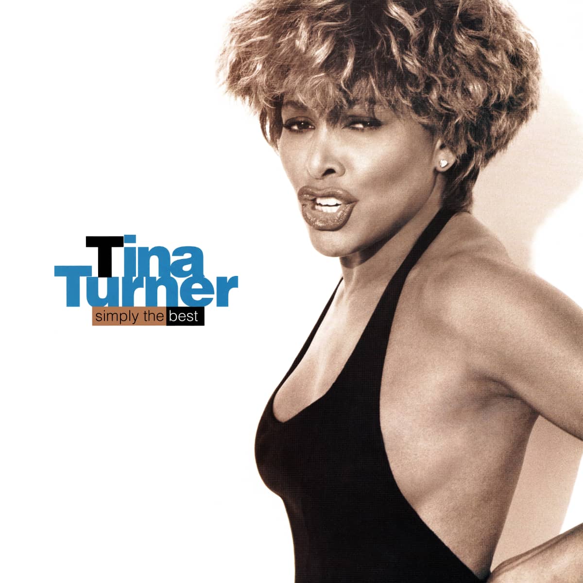 Tina Turner Story - Simply The Best