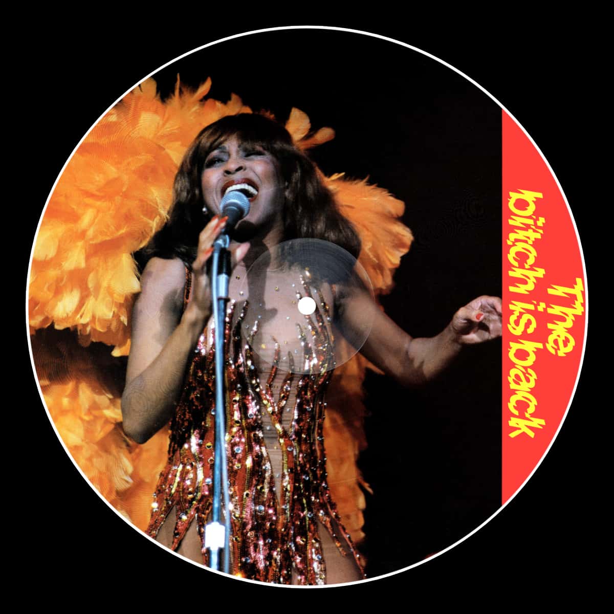 Tina Turner - The Bitch Is Back - Album