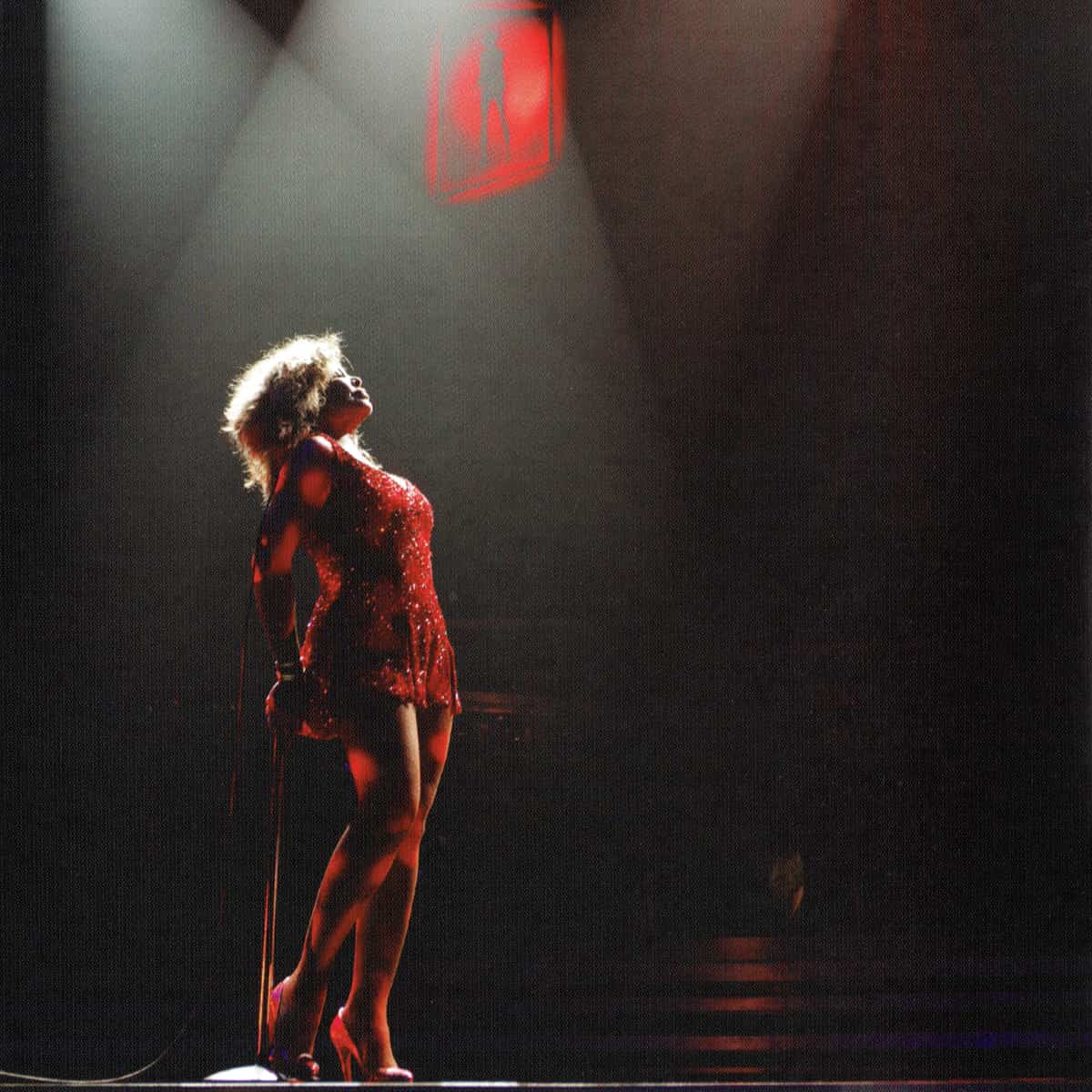Tina Turner - The Platinum Collection - Album