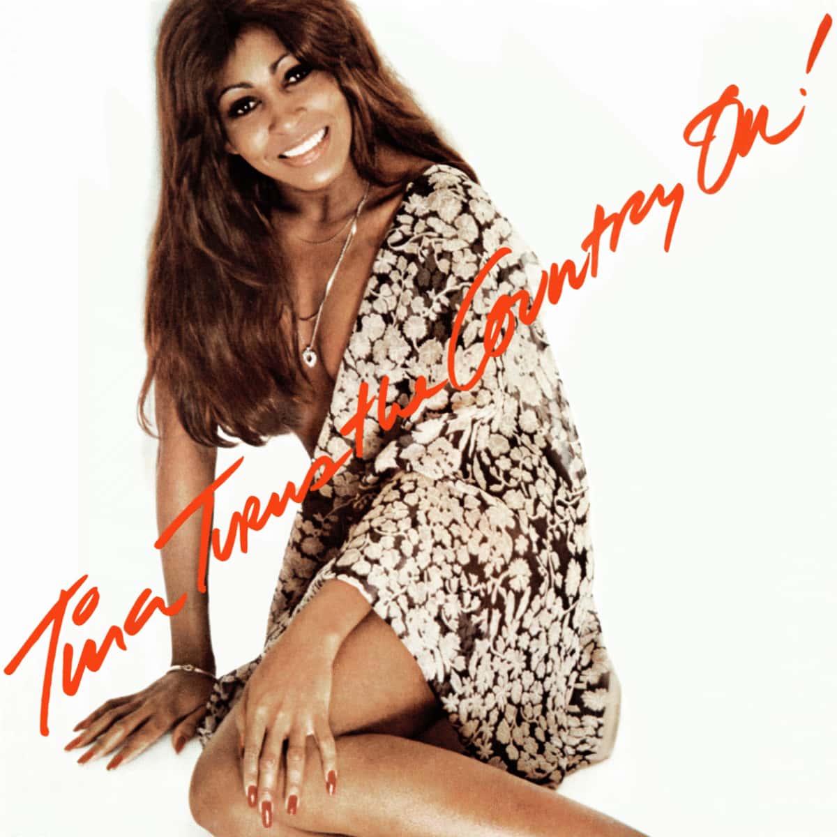 Tina Turner - Tina Turns The Country On - Album