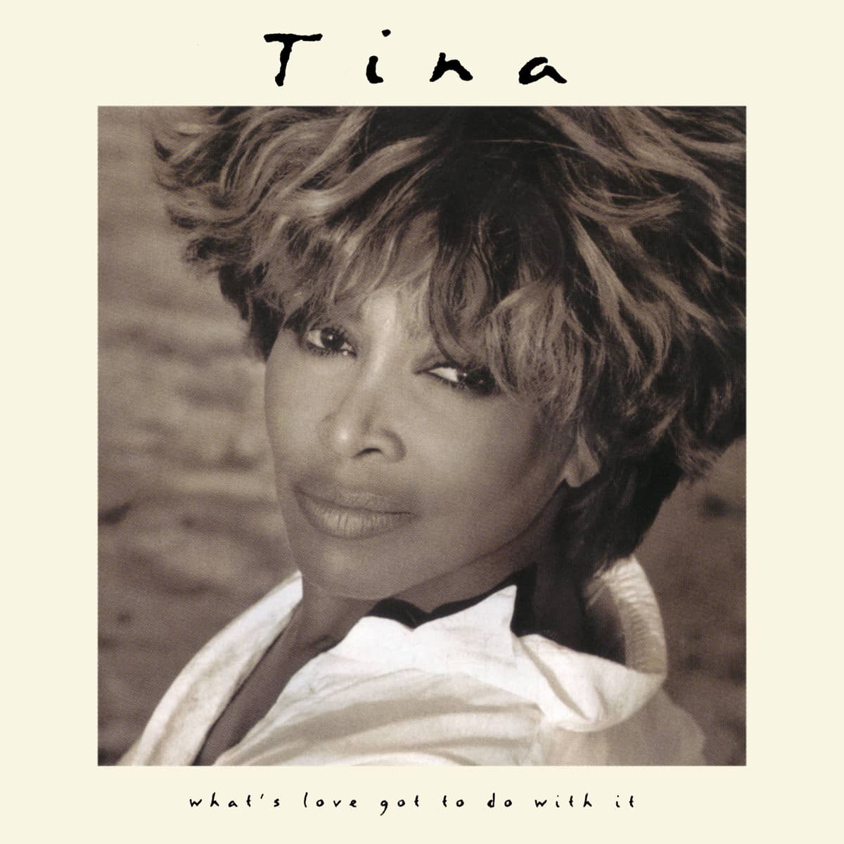 Tina Turner Story - What's Love Got To Do With It
