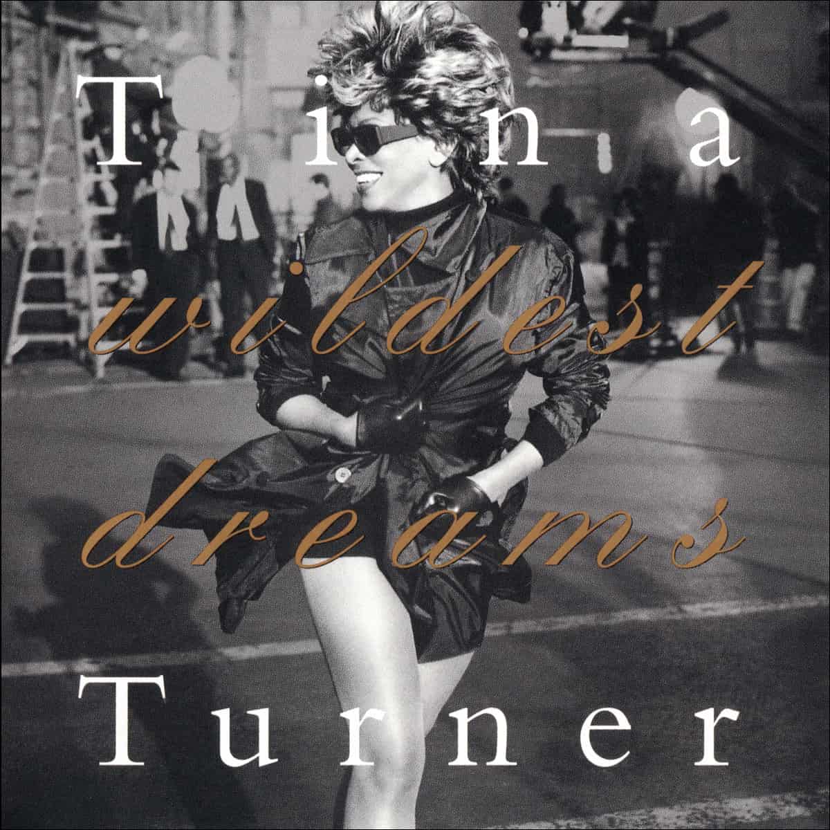 Tina Turner Story - Wildest Dreams