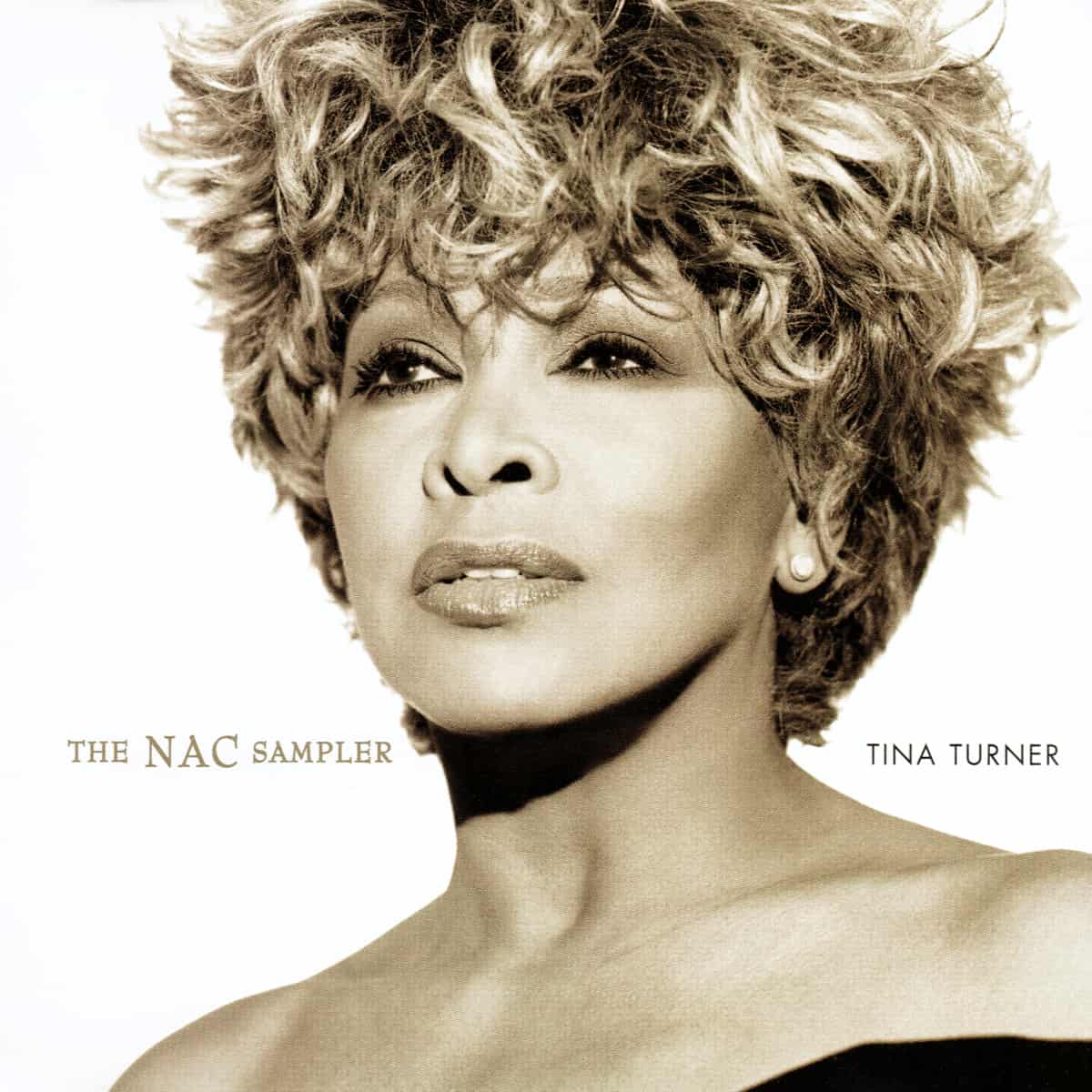 Tina Turner - Wildest Dreams - The NAC Sampler
