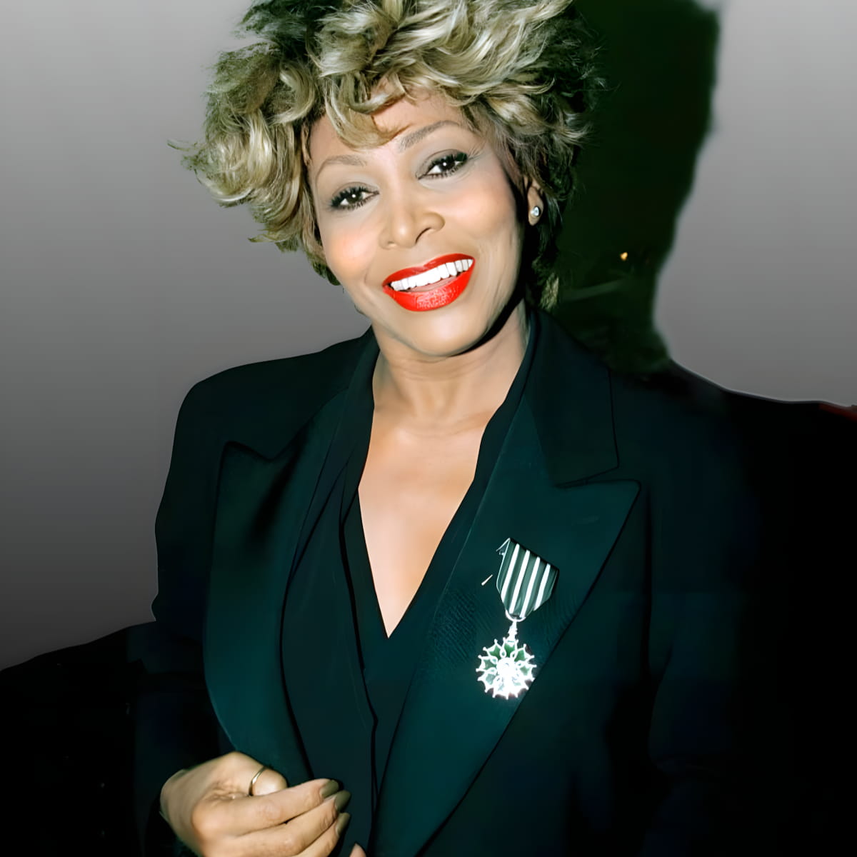 Tina Turner - Chevalier des Arts et des Lettres - Award