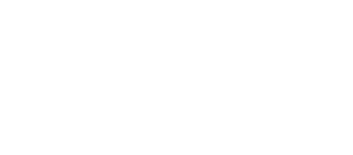 Tina Turner - Goldene Kamera - Award