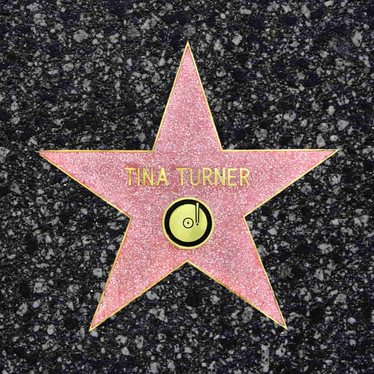 Tina Turner - Hollywood Walk of Fame - Award
