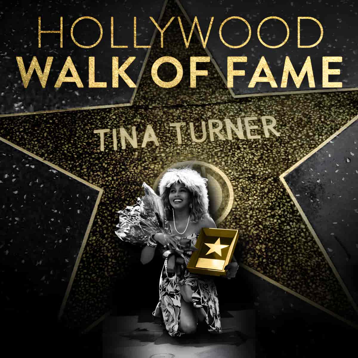 Tina Turner - Hollywood Walk of Fame - Award