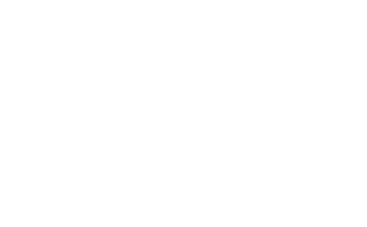 Tina Turner - Hollywood Walk of Fame - Award