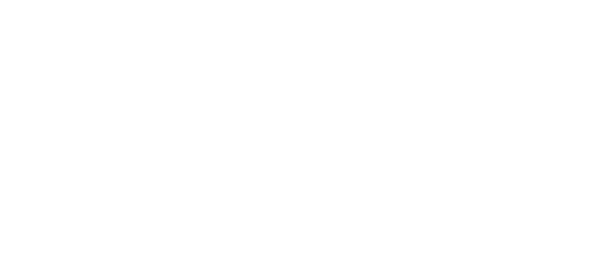 Tina Turner - The Kennedy Center - Award