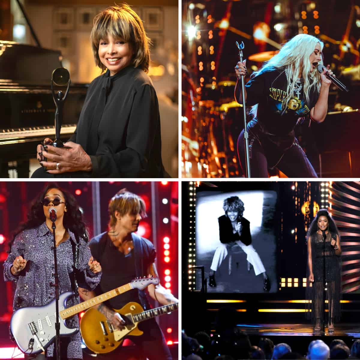 Tina Turner - Rock and Roll Hall of Fame - Award