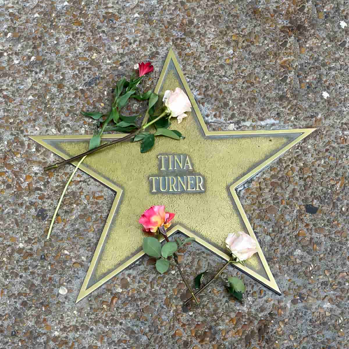 Tina Turner - St. Louis Walk of Fame - Award