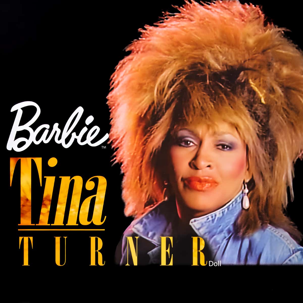 Tina Turner - Signature Music Series - Barbie