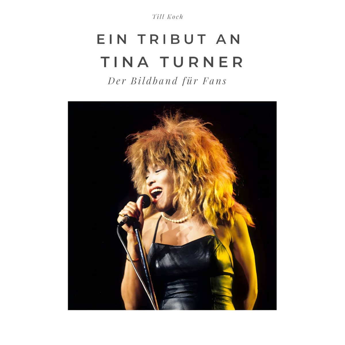 Tina Turner - A Tribute - Book