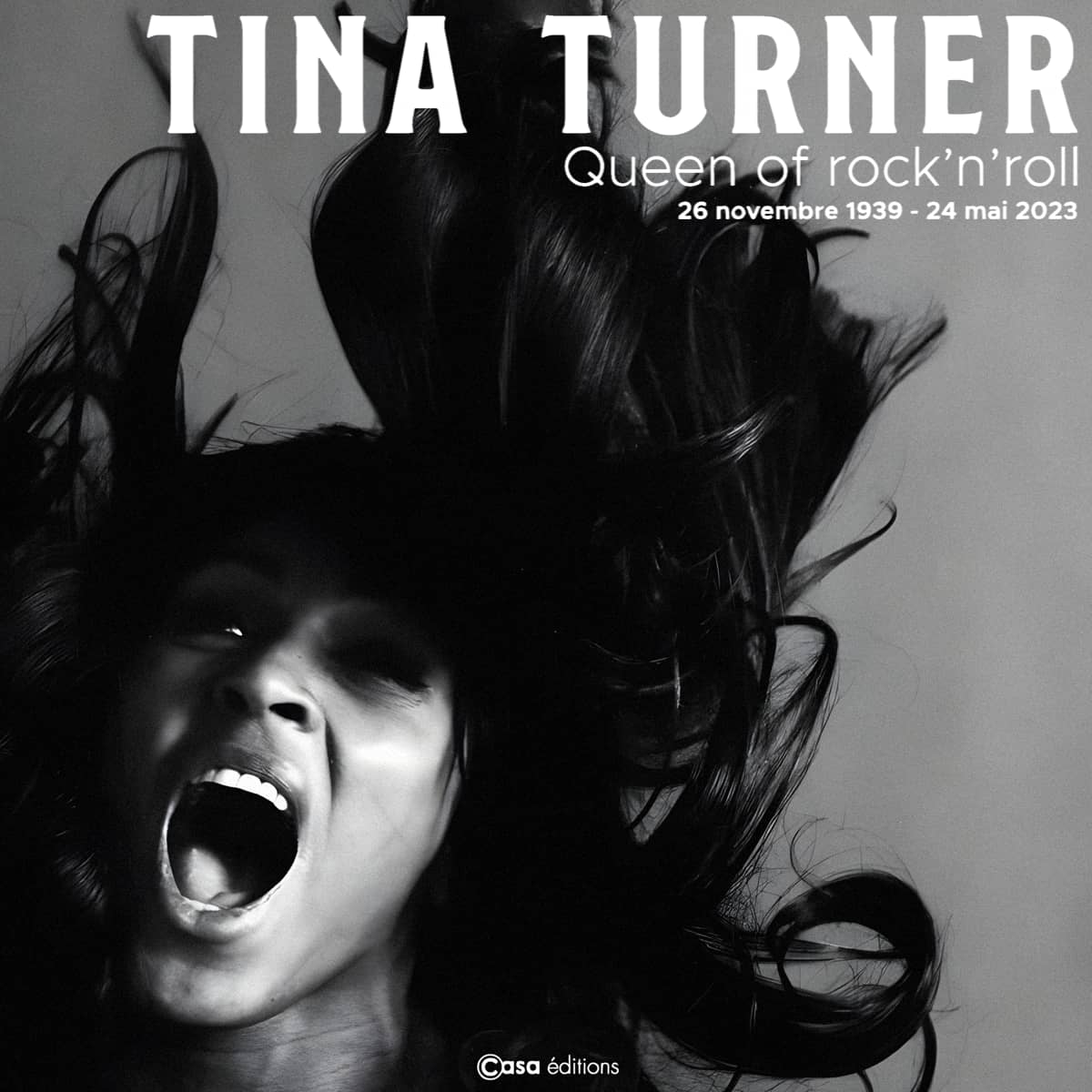 Tina Turner - Queen Of Rock'n Roll - Book
