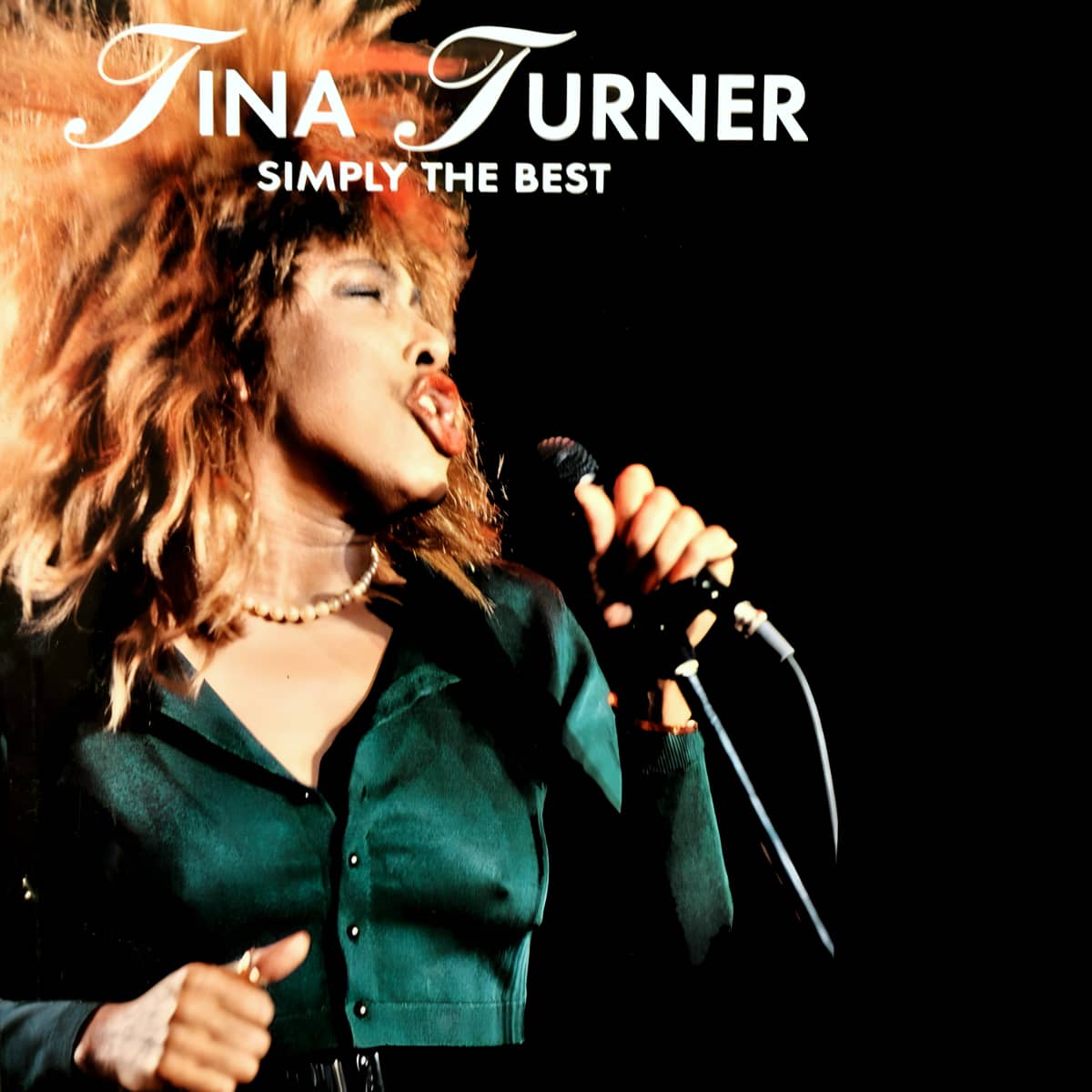 Tina Turner - Simply The Best (Louis du Moulin) - Book