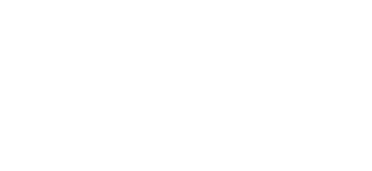 Tina Turner & Ron Wynn - The Tina Turner Story - Book
