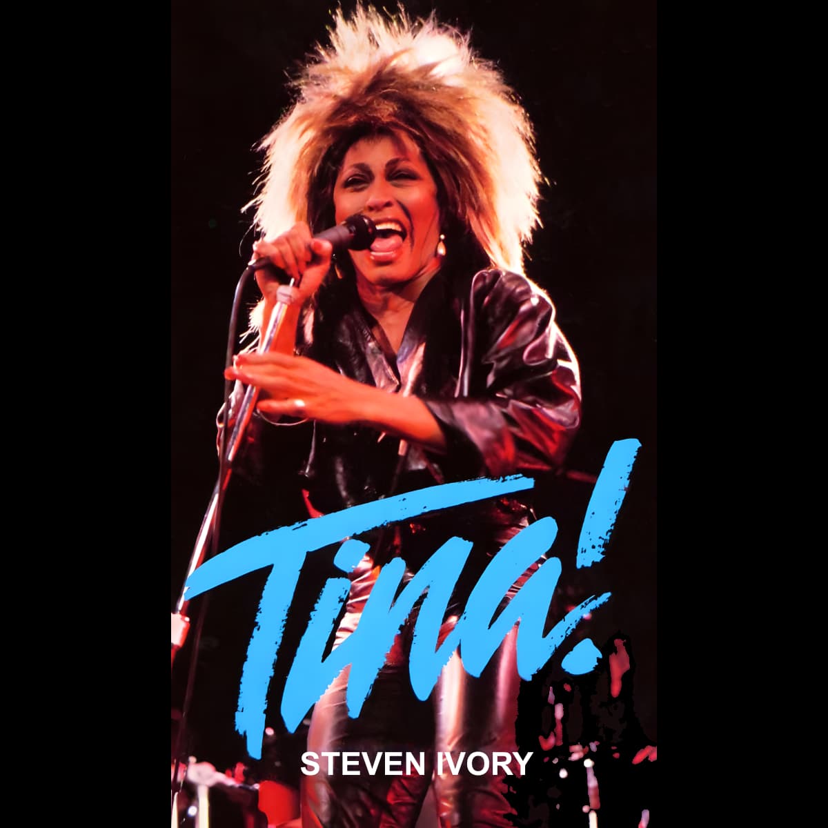 Tina Turner - Steven Ivory - Book