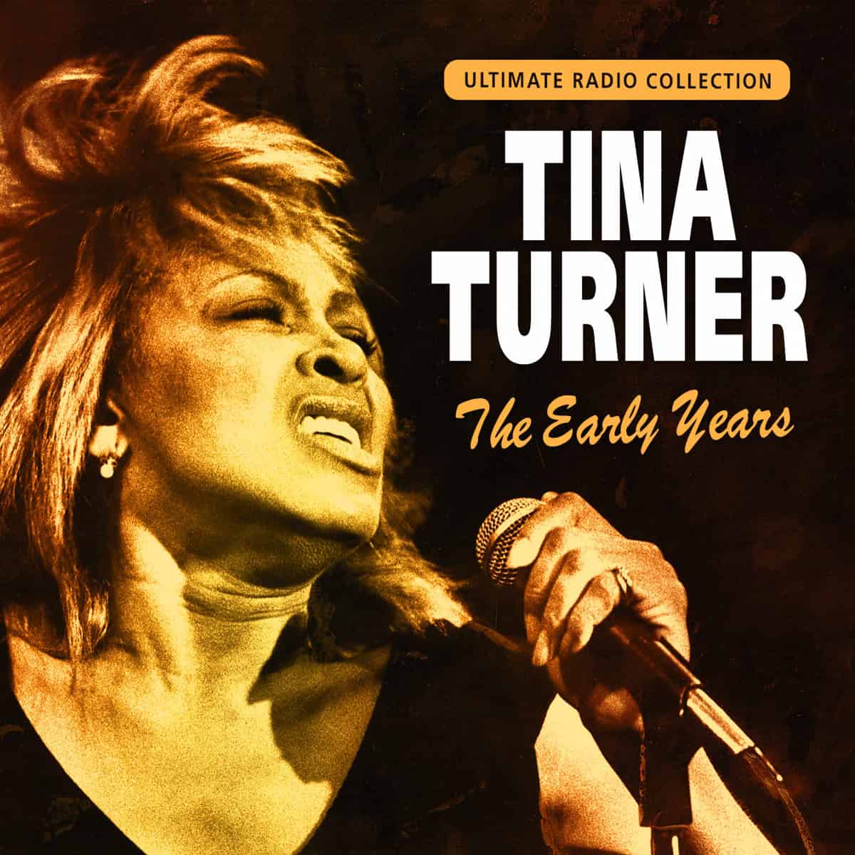 Tina Turner - The Early Years (Houston) - Bootleg