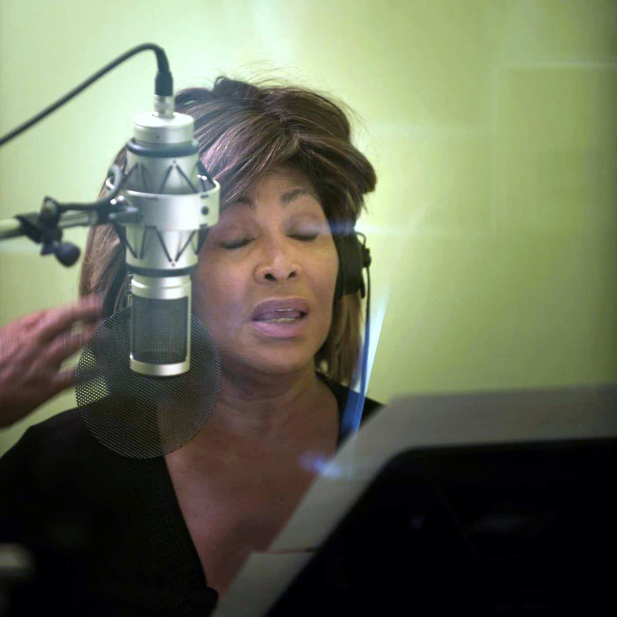 Tina Turner - Fact File