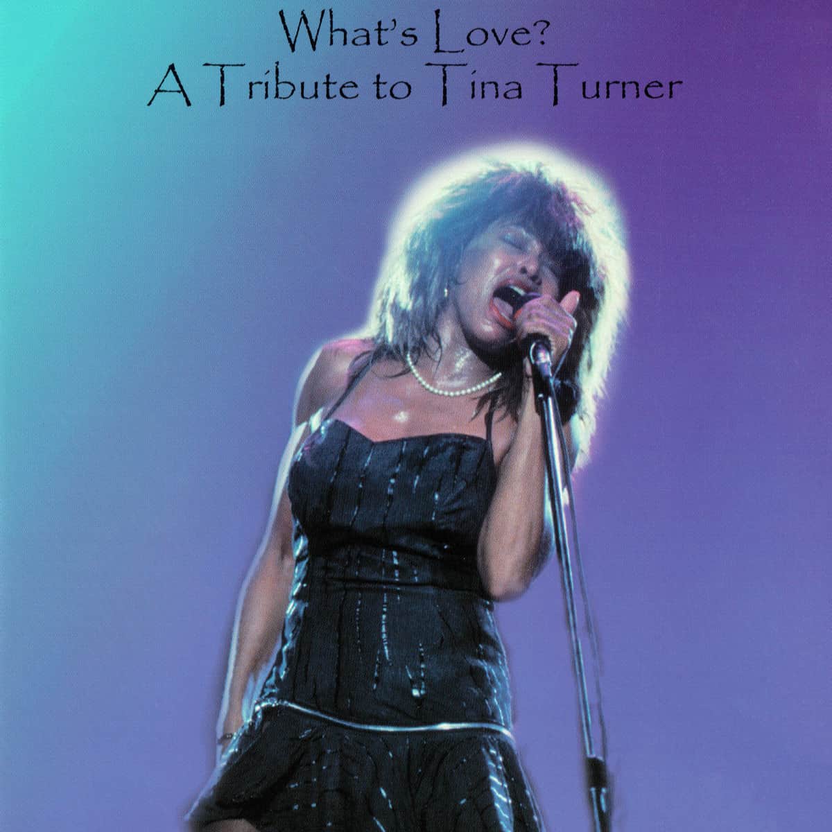 What's Love? A Tribute to Tina Turner - Album
