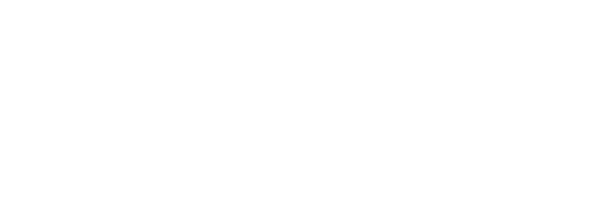 Tina Turner - Women In Rock - Video