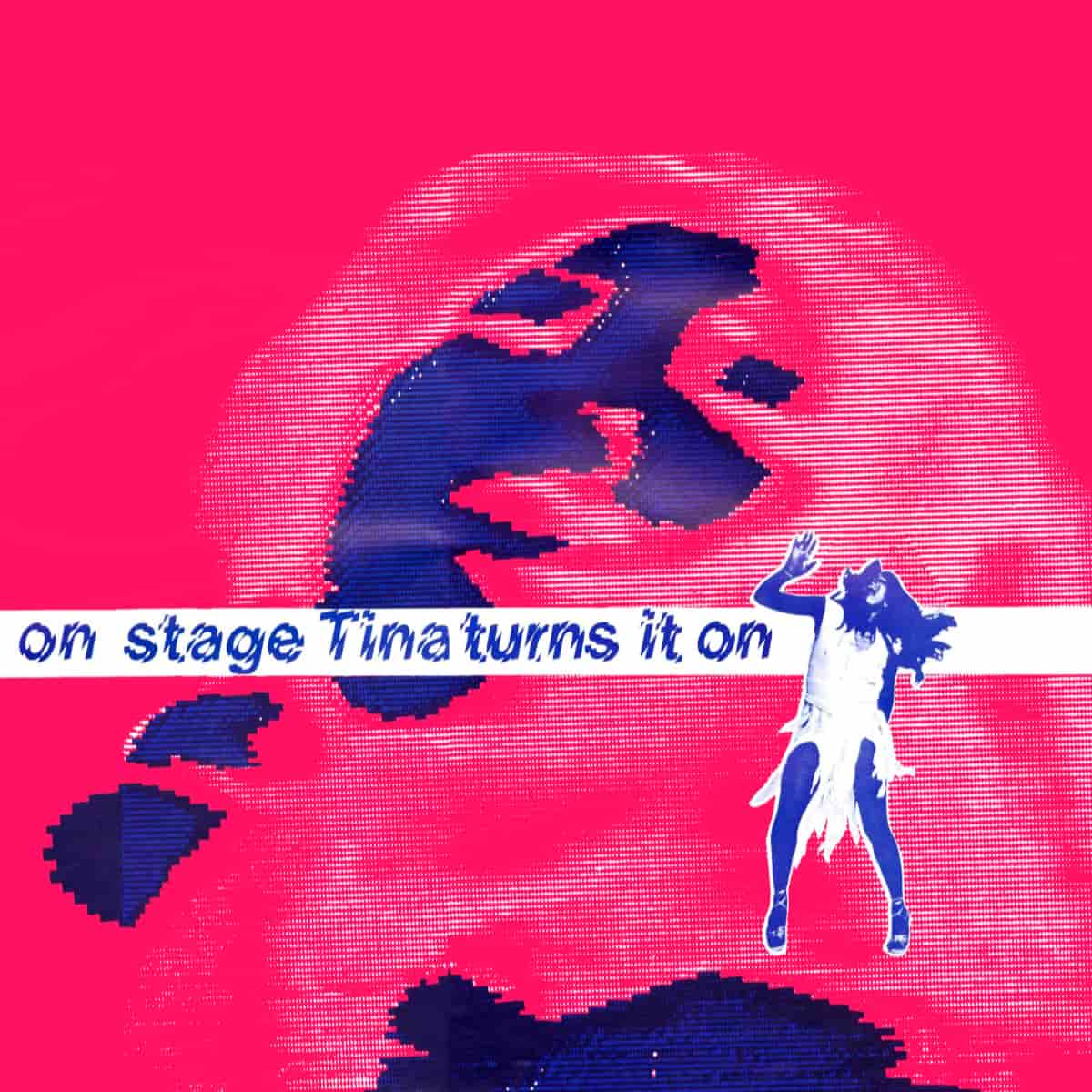 The Tina Turner Show (Australia)