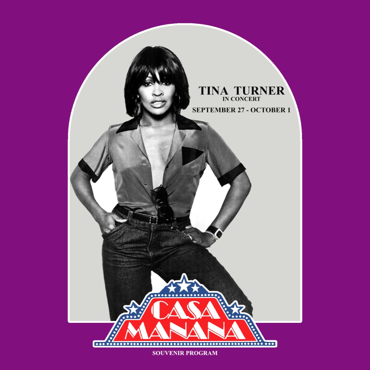 The Tina Turner Show (Casa Manana)