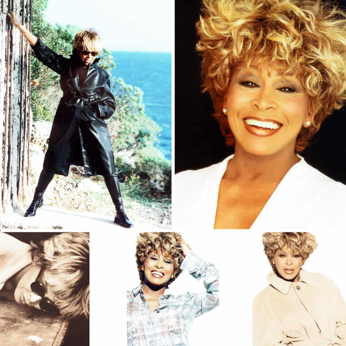 Tina Turner - Wildest Dreams - Tour Program