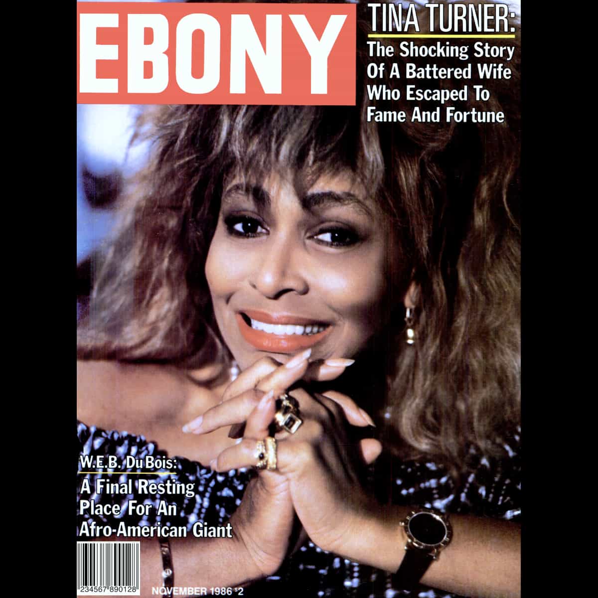 Tina Turner - Ebony - Magazine