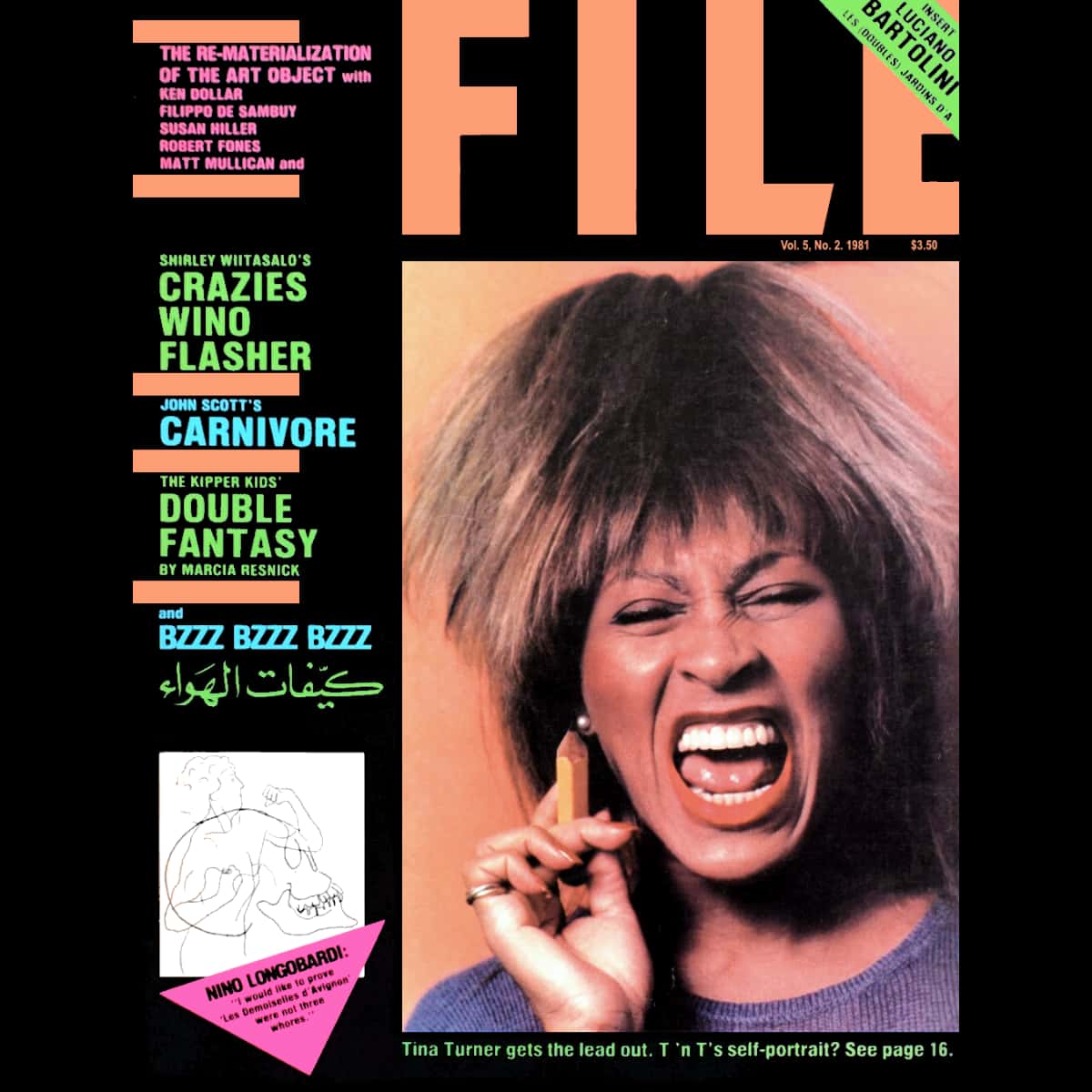 Tina Turner - File - Magazine