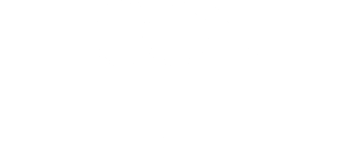 Tina Turner - Icon Life - Magazine