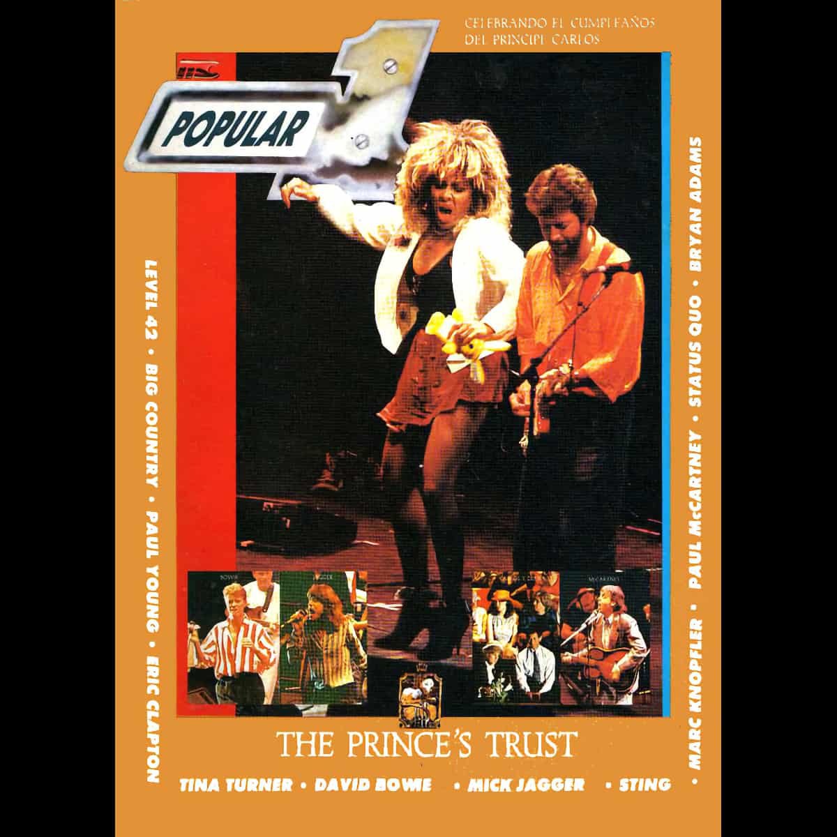 Tina Turner - Popular 1 - Magazine