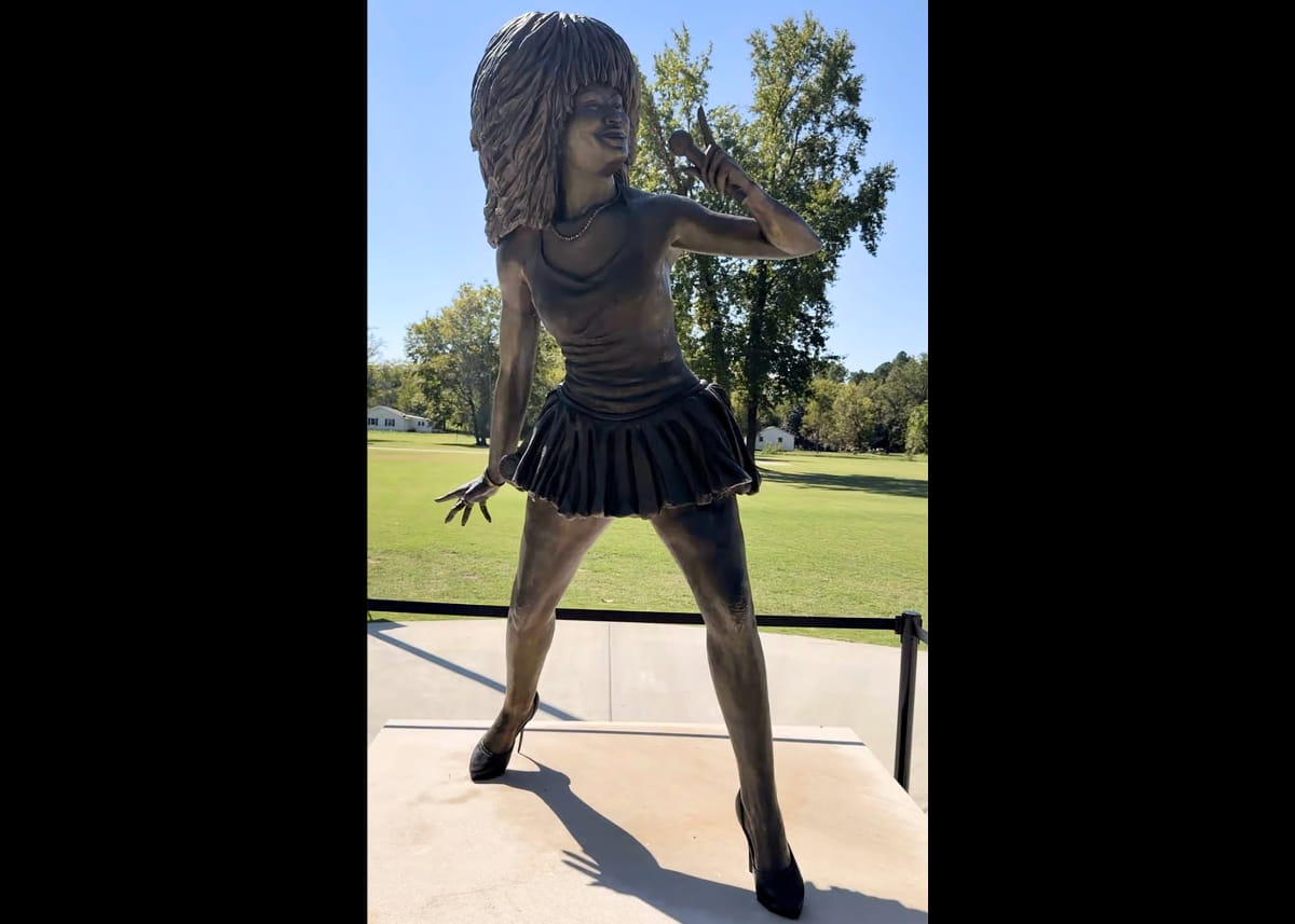 Tina Turner - Flagg Grove School - Statue