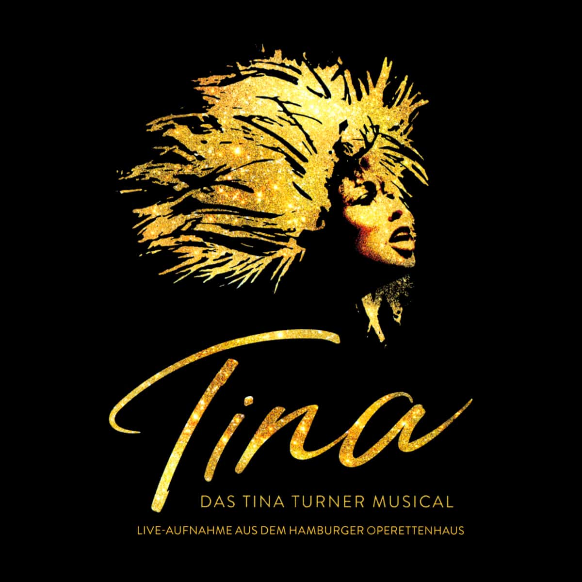 Tina Turner Musical - Hamburg Cast Recording - Album