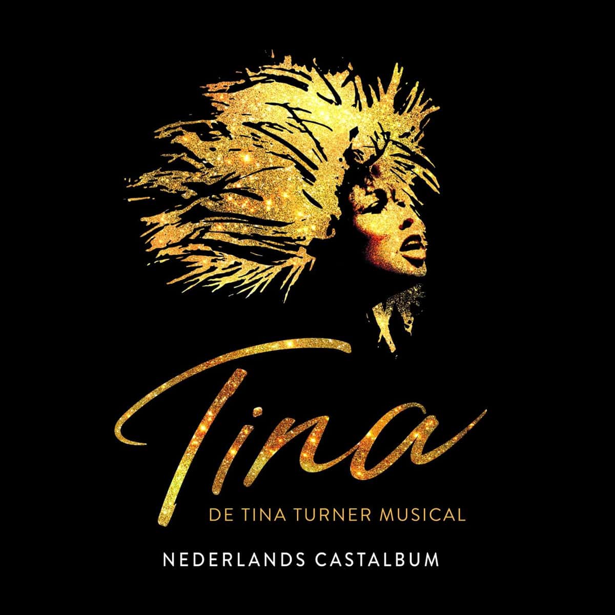 Tina Turner Musical - Utrecht Cast Recording - Album