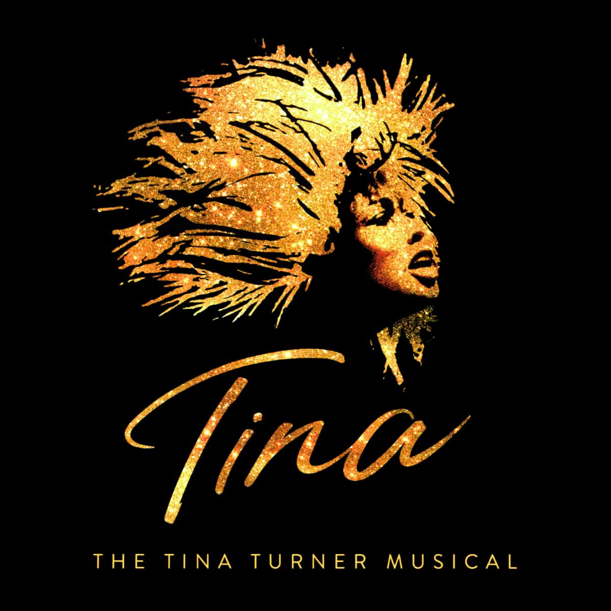 TINA - The Tina Turner Musical