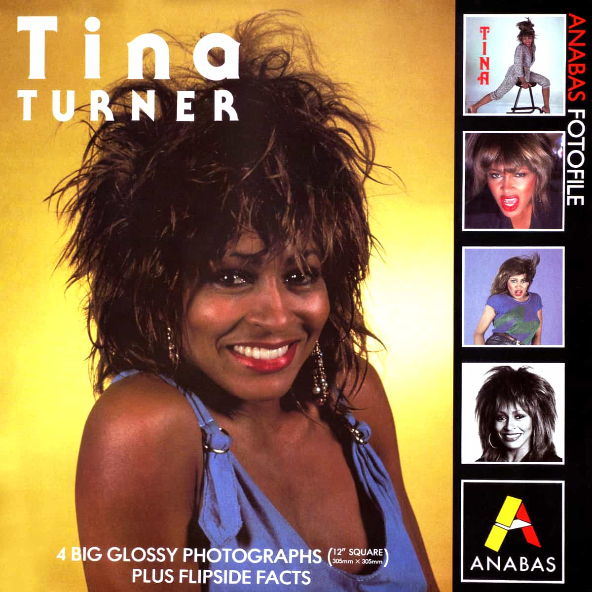 Tina Turner - Anabas Fotofile - Book