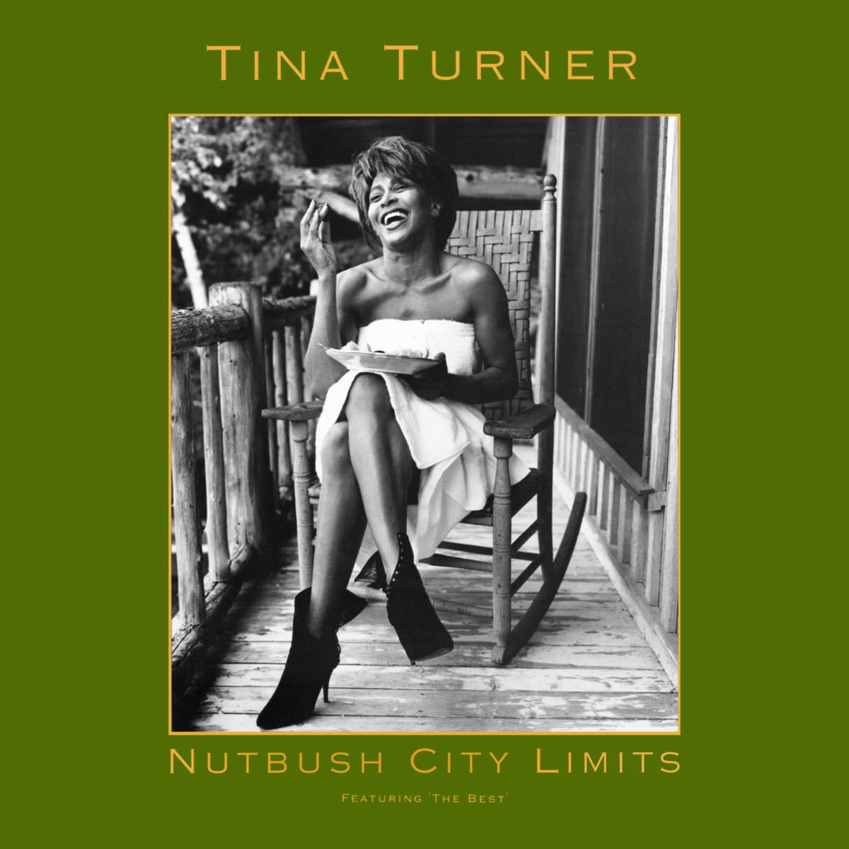Tina Turner - Nutbush City Limits (The 90's Version) - Single