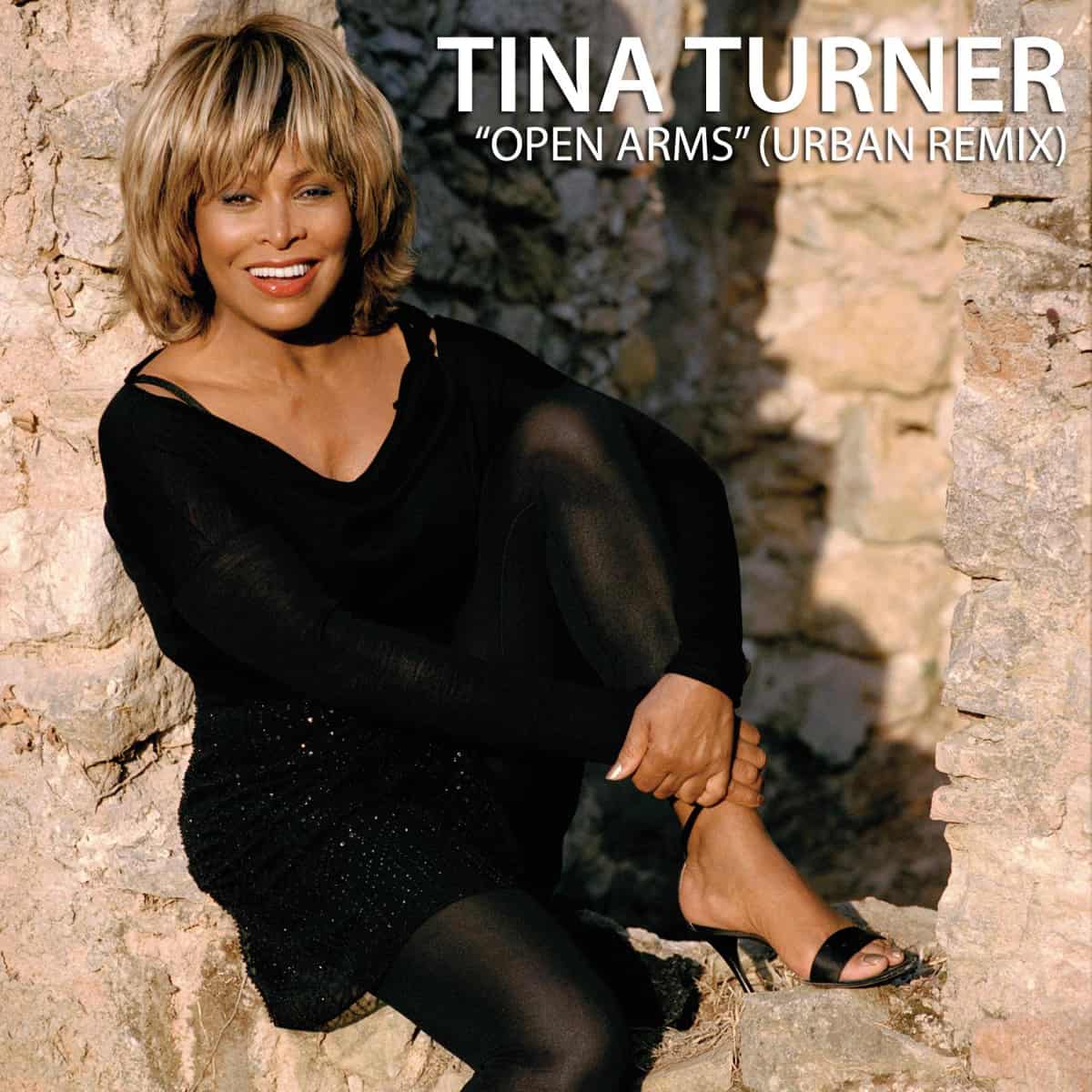 Tina Turner - Open Arms - Remix