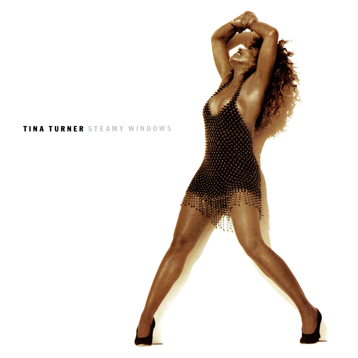 Tina Turner - Steamy Windows - Single
