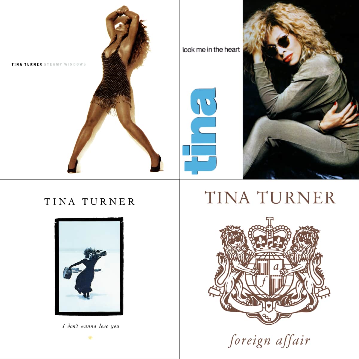 Tina Turner - Stronger Than The Wind - Single